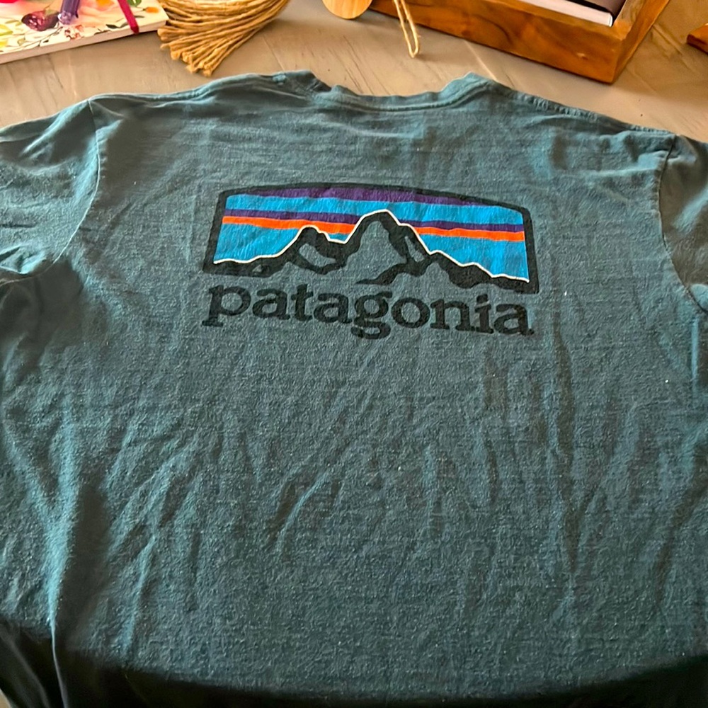 Patagonia T-shirt size small